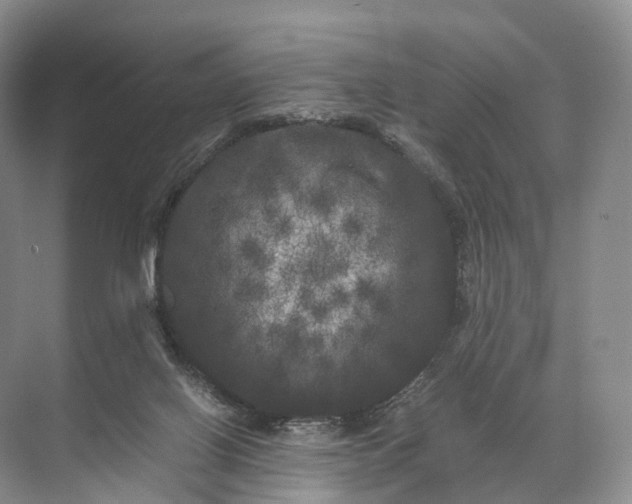 X0000071780070200607150106