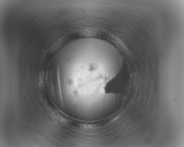 X0000071780073200607150106