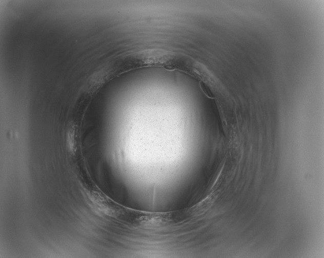 X0000071780074200607150106