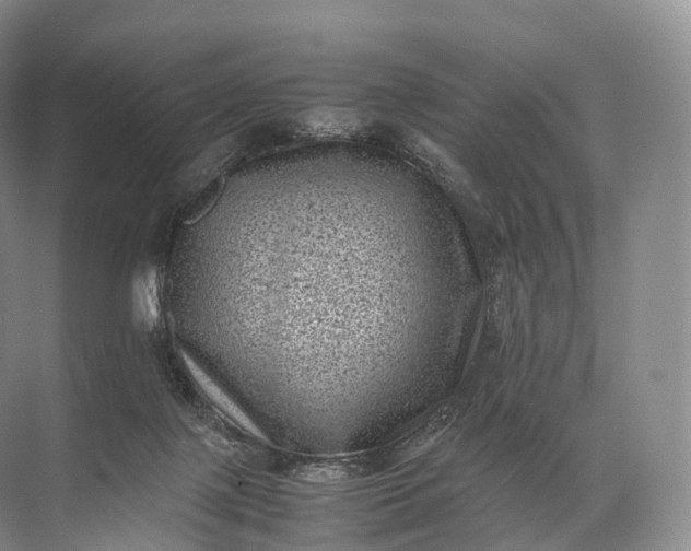 X0000071780075200607150106