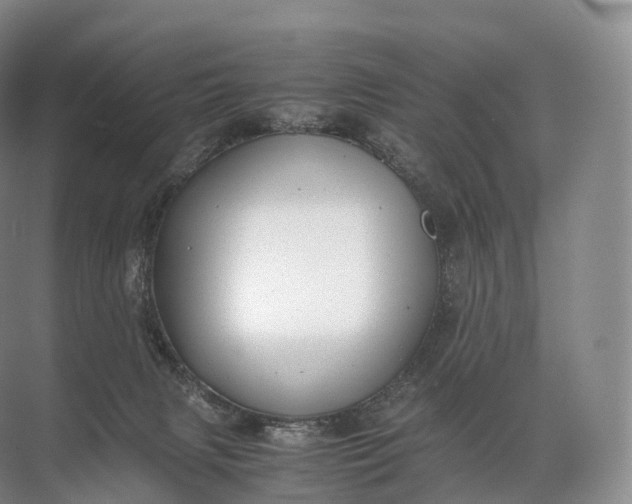 X0000071780079200607150106