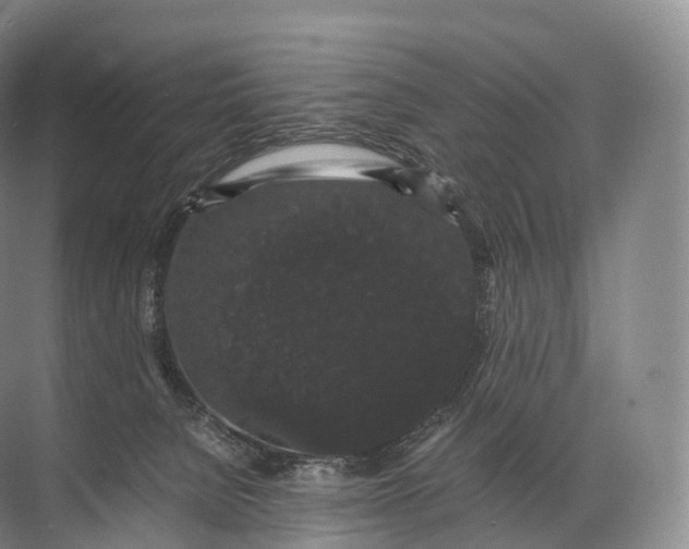 X0000071780080200607150106