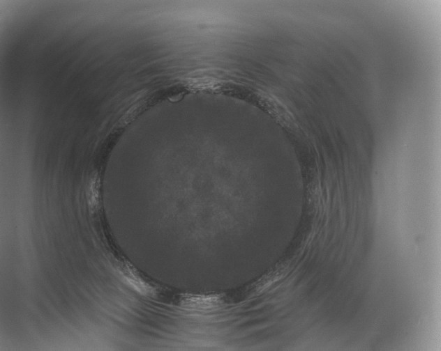 X0000071780081200607150106