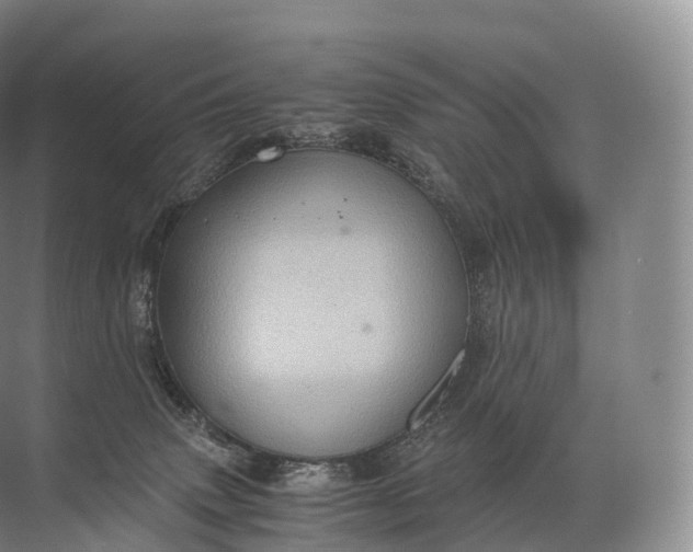 X0000071780083200607150106