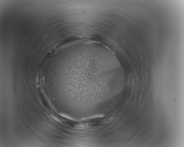 X0000071780084200607150106