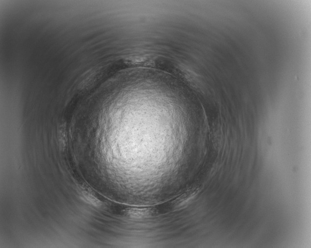 X0000071780085200607150106