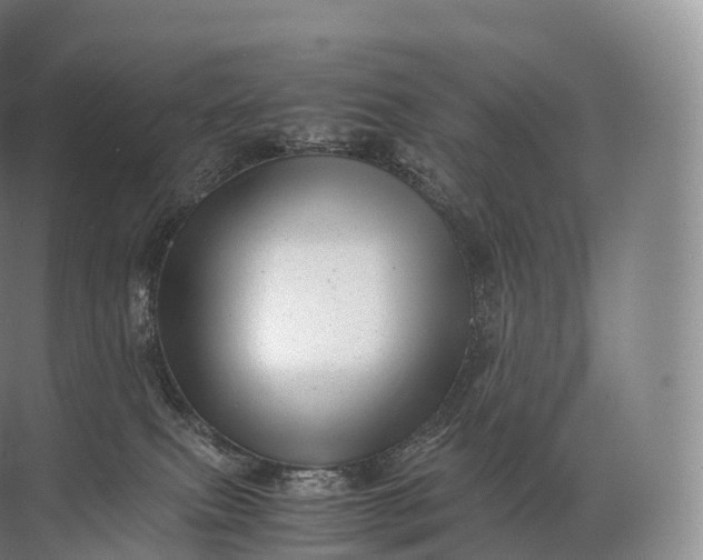 X0000071780087200607150106