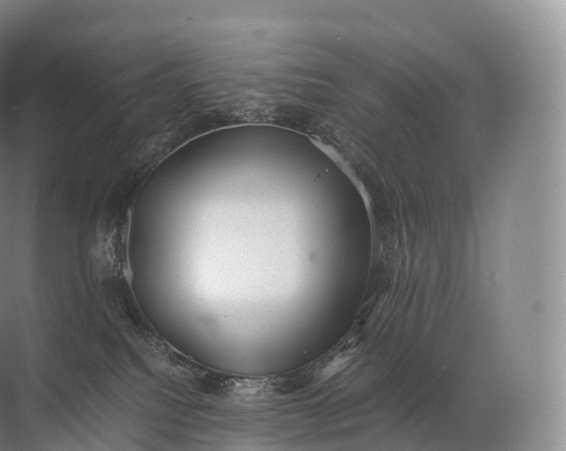 X0000071780088200607150106