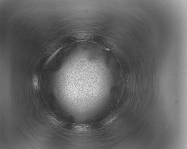 X0000071780089200607150106