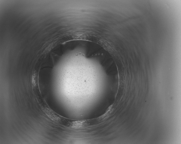 X0000071780090200607150106