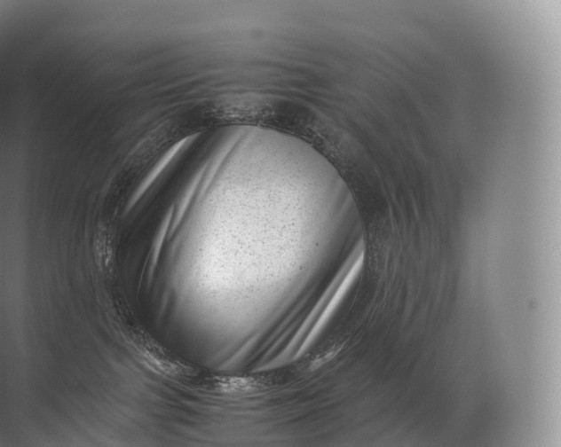 X0000071780091200607150106