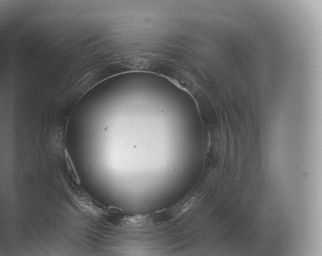 X0000071780092200607150106