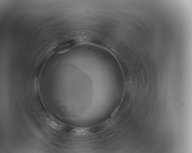 X0000071780093200607150106