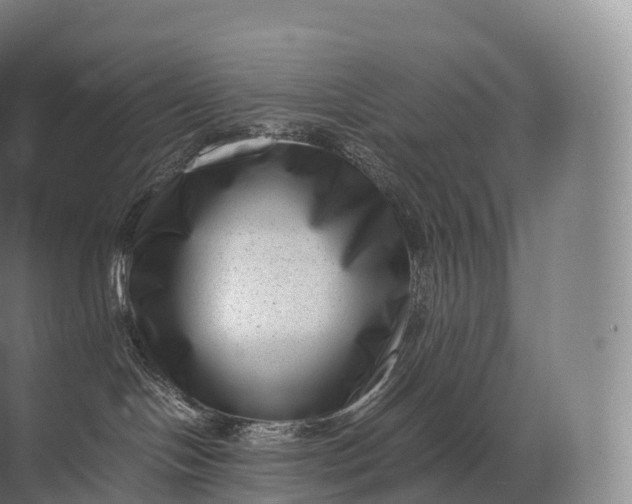 X0000071780094200607150106