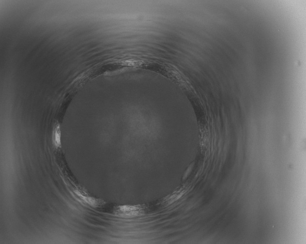 X0000071780095200607150106