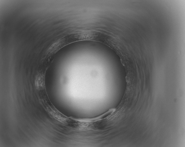 X0000071780096200607150106