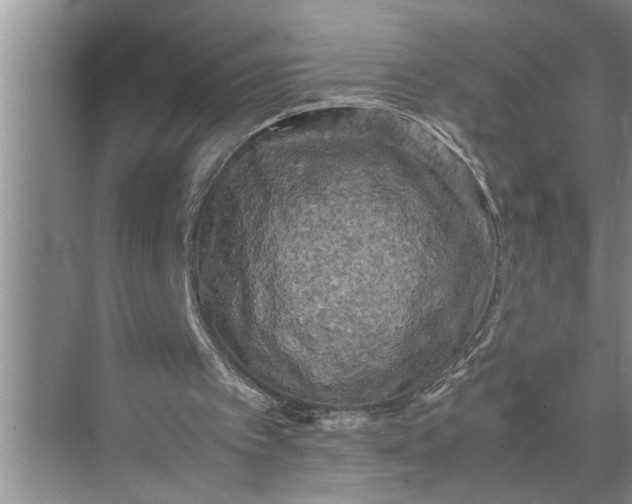 X0000071780097200607150105