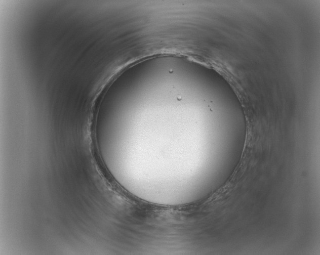 X0000071780098200607150105