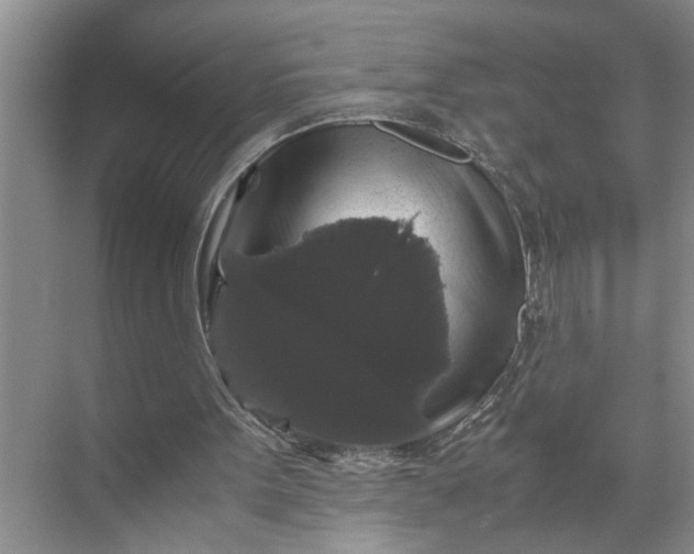 X0000071780099200607150105