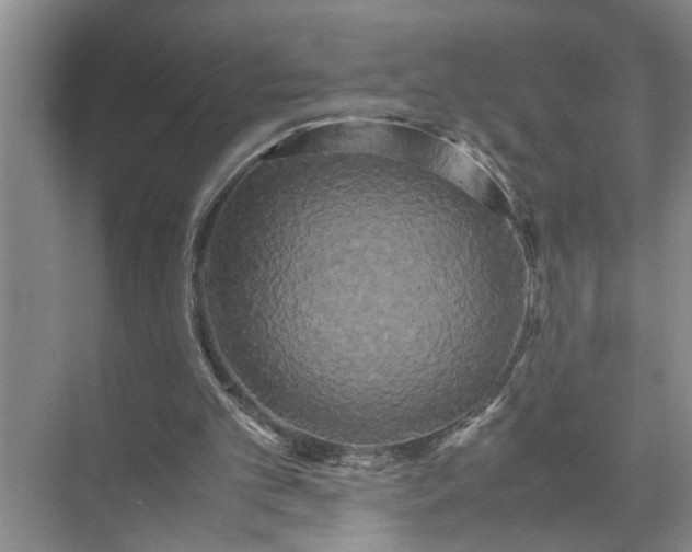 X0000071780101200607150105