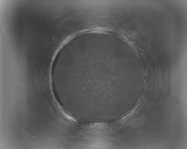 X0000071780102200607150105