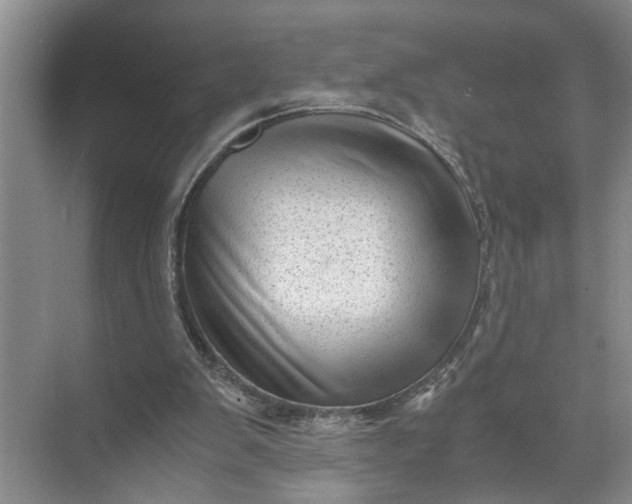 X0000071780103200607150105