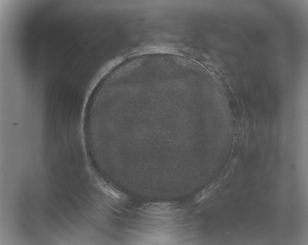 X0000071780104200607150105