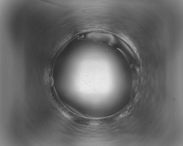 X0000071780105200607150105