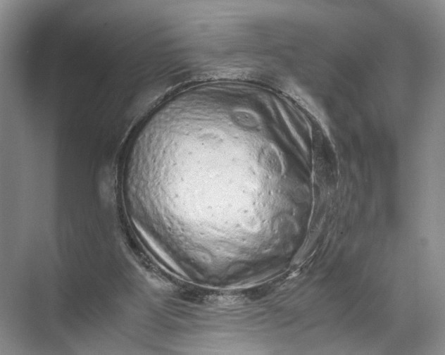 X0000071780107200607150105