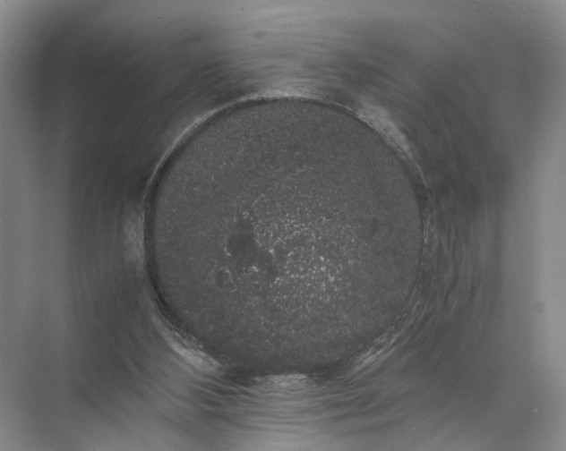 X0000071780108200607150105