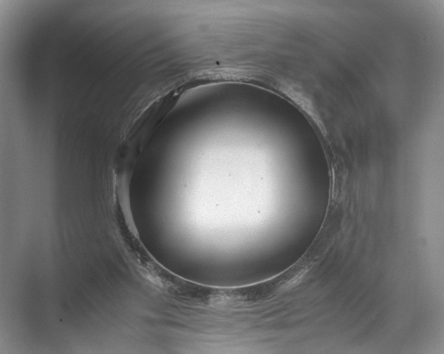 X0000071780109200607150105