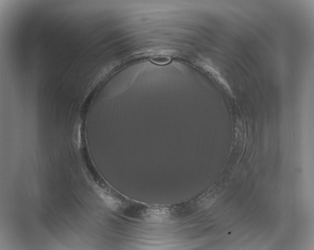 X0000071780110200607150105