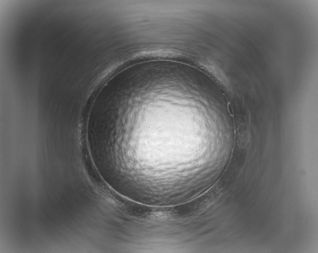 X0000071780111200607150105