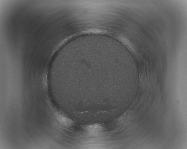 X0000071780112200607150105