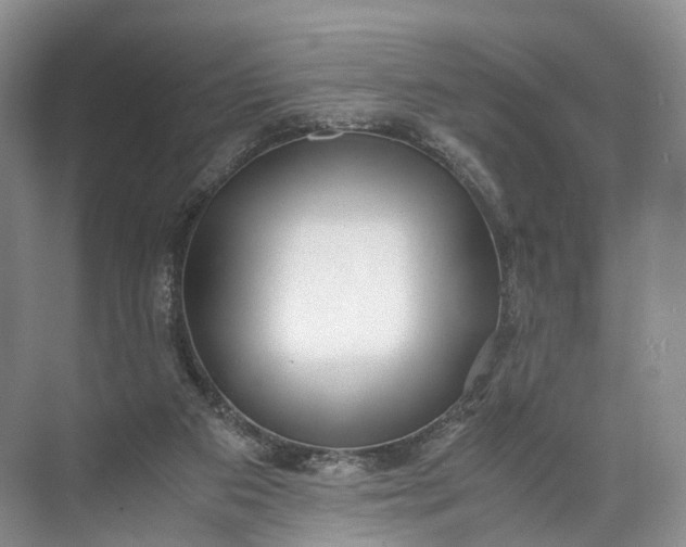 X0000071780113200607150105