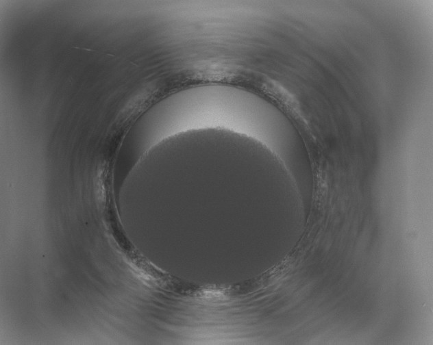 X0000071780114200607150105