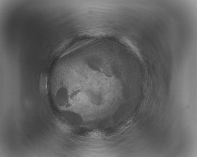 X0000071780115200607150105