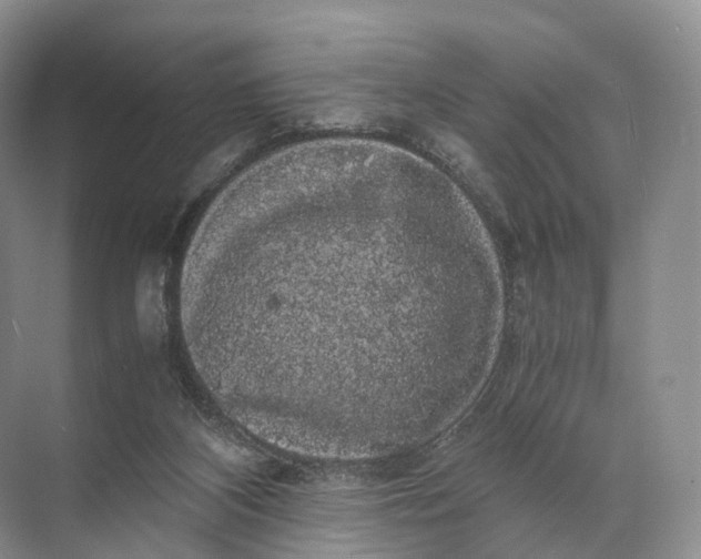 X0000071780116200607150105