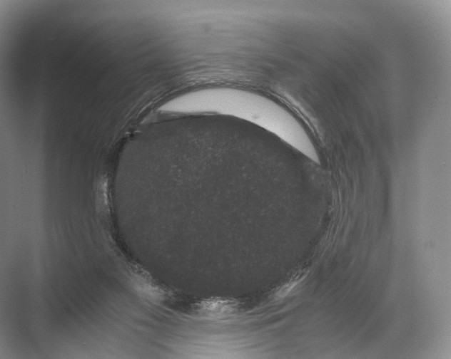 X0000071780117200607150105