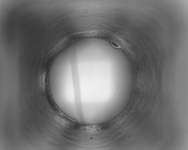 X0000071780118200607150105