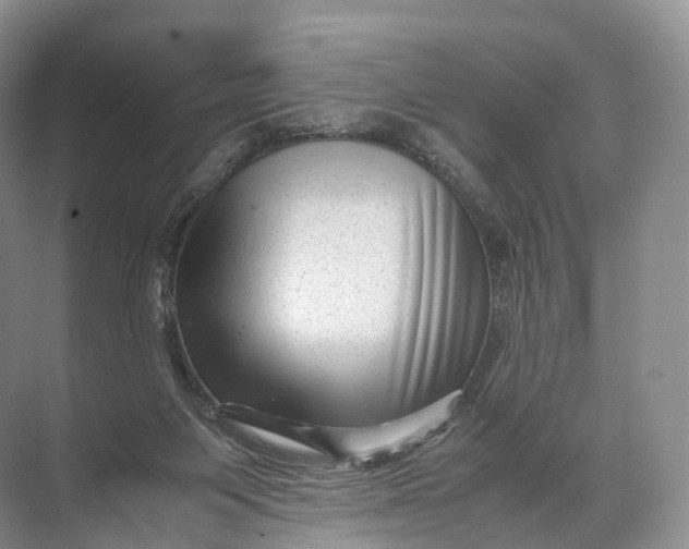 X0000071780119200607150105