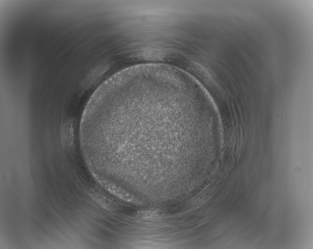 X0000071780120200607150105