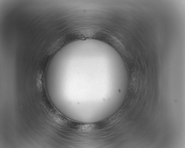 X0000071780122200607150105