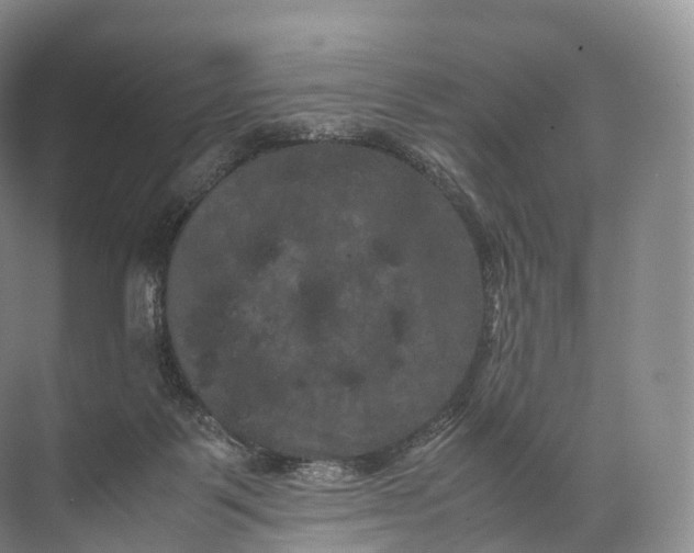 X0000071780123200607150105