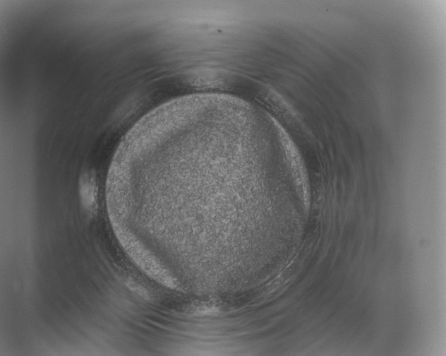 X0000071780124200607150105