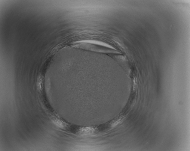 X0000071780125200607150105