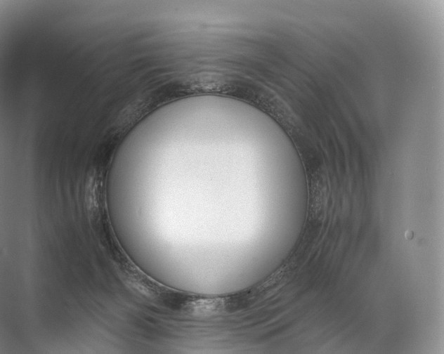 X0000071780126200607150105