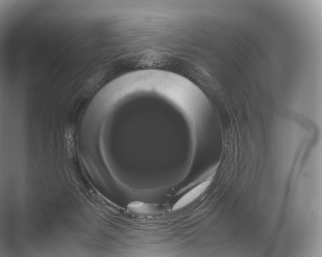 X0000071780127200607150105