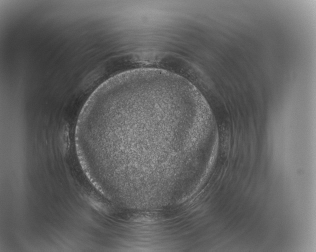 X0000071780128200607150105