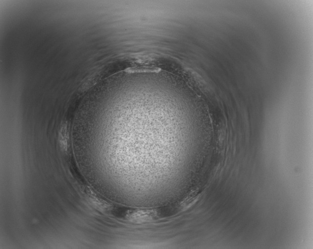 X0000071780129200607150105